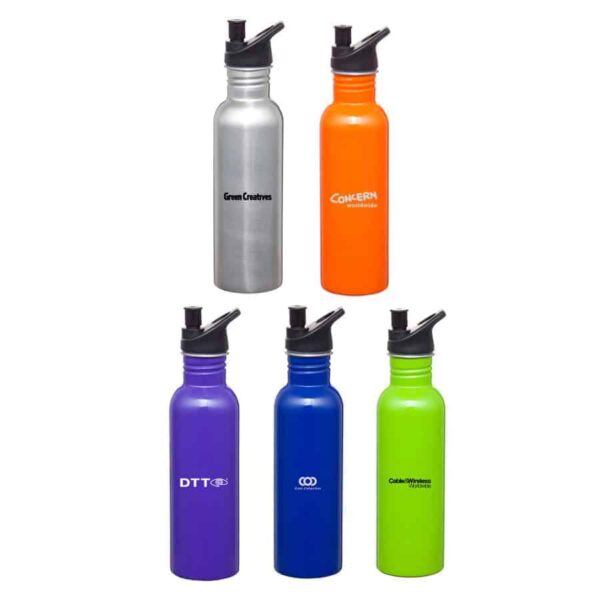 Carnival Stainless Steel Drink Bottle. H-D534